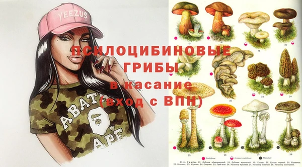 ПСИЛОЦИБИНОВЫЕ ГРИБЫ Балахна