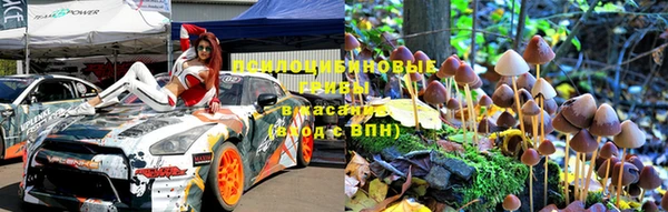 ПСИЛОЦИБИНОВЫЕ ГРИБЫ Балахна