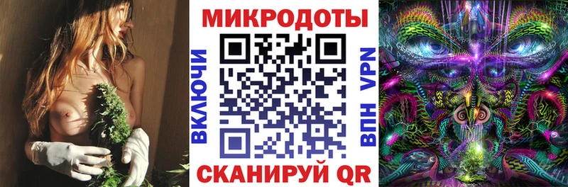 Галлюциногенные грибы Cubensis Борисоглебск